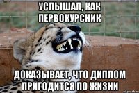 услышал, как первокурсник доказывает, что диплом пригодится по жизни