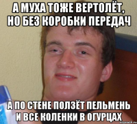 а муха тоже вертолёт, но без коробки передач а по стене ползёт пельмень и все коленки в огурцах