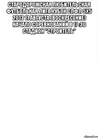 стародорожская любительская футбольная лига кубок слфл 5х5 2013 11 августа (воскресение) начало соревнований в 17 :30 стадион "строитель" 