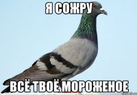 я сожру всё твоё мороженое