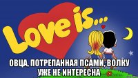  овца, потрепанная псами, волку уже не интересна