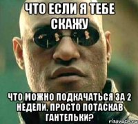 что если я тебе скажу что можно подкачаться за 2 недели, просто потаскав гантельки?