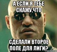 а если я тебе скажу,что сделали второе поле для лиги?