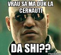 vrau sa ma duk la cernauti da shi??