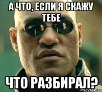 а что, если я скажу тебе что разбирал?