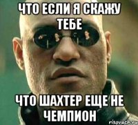 что если я скажу тебе что шахтер еще не чемпион