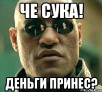 че сука! деньги принес?