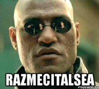  razmecitalsea