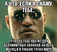 а что, если я скажу тебе.. ..что 50$ тебе хватит для безлимитных звонков, на весь месяц и в любую точку мира