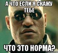 а что если я скажу тебе что это норма?