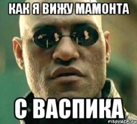 как я вижу мамонта с васпика