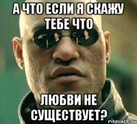 а что если я скажу тебе что любви не существует?