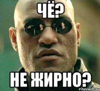 чё? не жирно?