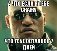 а что если я тебе скажу что тебе осталось 7 дней