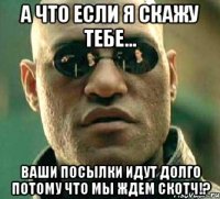 а что если я скажу тебе... ваши посылки идут долго потому что мы ждем скотч!?