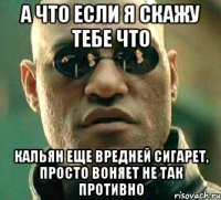 а что если я скажу тебе что кальян еще вредней сигарет, просто воняет не так противно