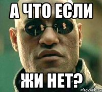 а что если жи нет?