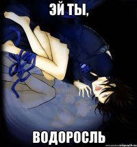 эй ты, водоросль