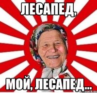 лесапед, мой, лесапед...