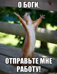 о боги, отправьте мне работу!