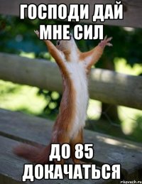 господи дай мне сил до 85 докачаться