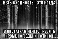 безысходность - это когда в инстаграм нечего грузить кроме ног, еды и котиков