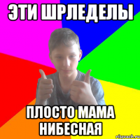 эти шрледелы плосто мама нибесная