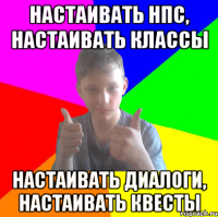 настаивать нпс, настаивать классы настаивать диалоги, настаивать квесты