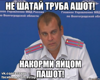 не шатай труба ашот! накорми яйцом пашот!