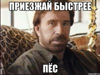 приезжай быстрее пёс