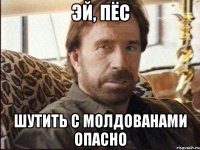 эй, пёс шутить с молдованами опасно