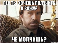 пес ты хочешь получить в рожу? че молчишь?