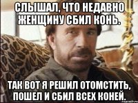 слышал, что недавно женщину сбил конь. так вот я решил отомстить, пошел и сбил всех коней.