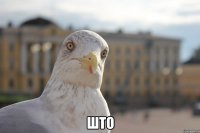  што