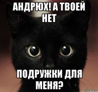 андрюх! а твоей нет подружки для меня?