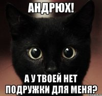 андрюх! а у твоей нет подружки для меня?