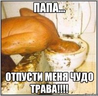 папа... отпусти меня чудо трава!!!