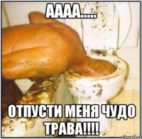 аааа..... отпусти меня чудо трава!!!