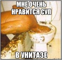 мне очень нравится суп в унитазе