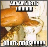 ааааа блять !!! опять ddos !!!