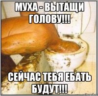 муха - вытащи голову!!! сейчас тебя ебать будут!!!