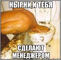 нырни,и тебя сделают менеджером