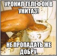 уронил телефон в унитаз! не пропадать же добру.