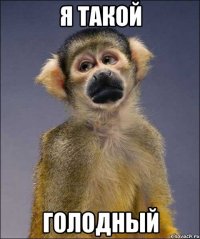 я такой голодный