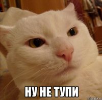  ну не тупи