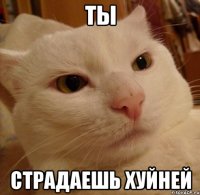 ты страдаешь хуйней