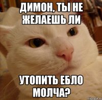 димон, ты не желаешь ли утопить ебло молча?