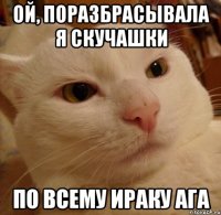ой, поразбрасывала я скучашки по всему ираку ага