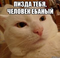 пизда тебя, человек ебаный 
