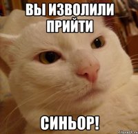 вы изволили прийти синьор!